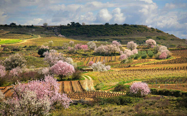 Vias verdes accesibles rioja