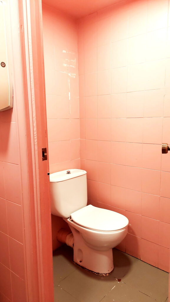 Baño femenino.zona inodoro