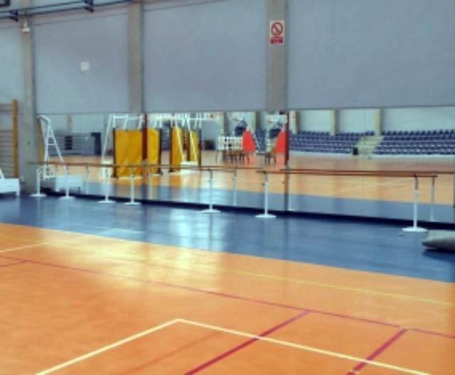 Pabellón San Millán