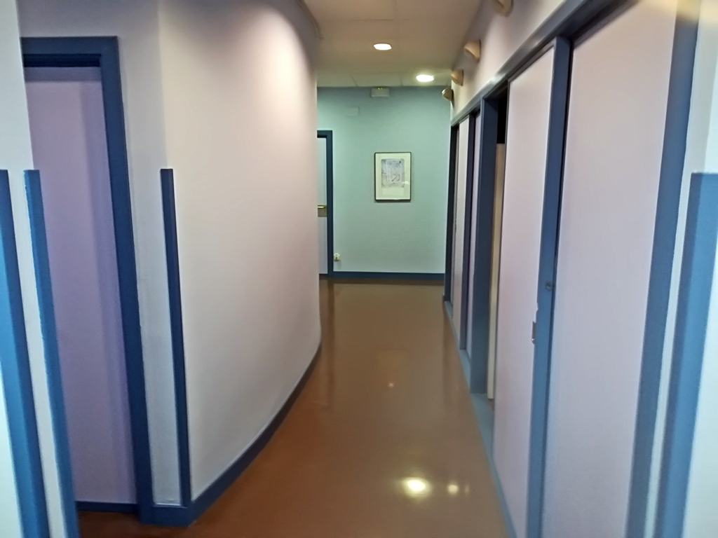 Movilidad interior