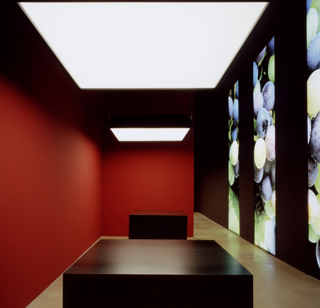 Sala Envero