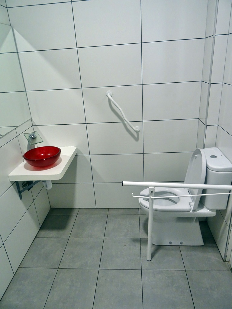 Aseo adaptado