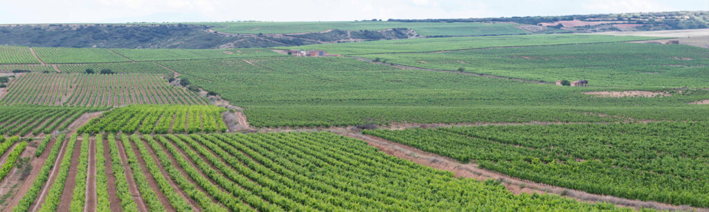 Enclave de la bodega