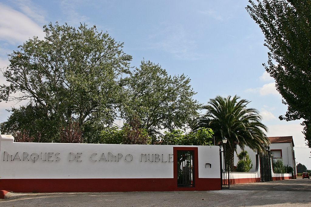 B. Marques de campo Nubile.fachada – Bodegas Marqués de Campo Nuble