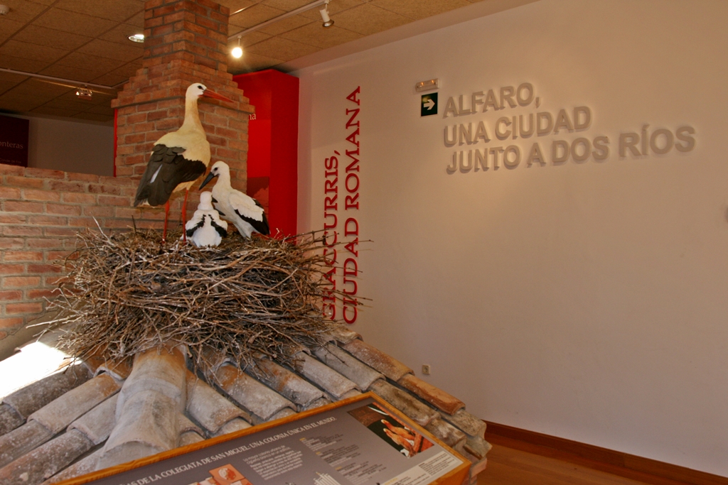 Centro de Interpretacion de los Sotos de Alfaro.interior – Centro de Interpretación de la Reserva Natural de los Sotos de Alfaro