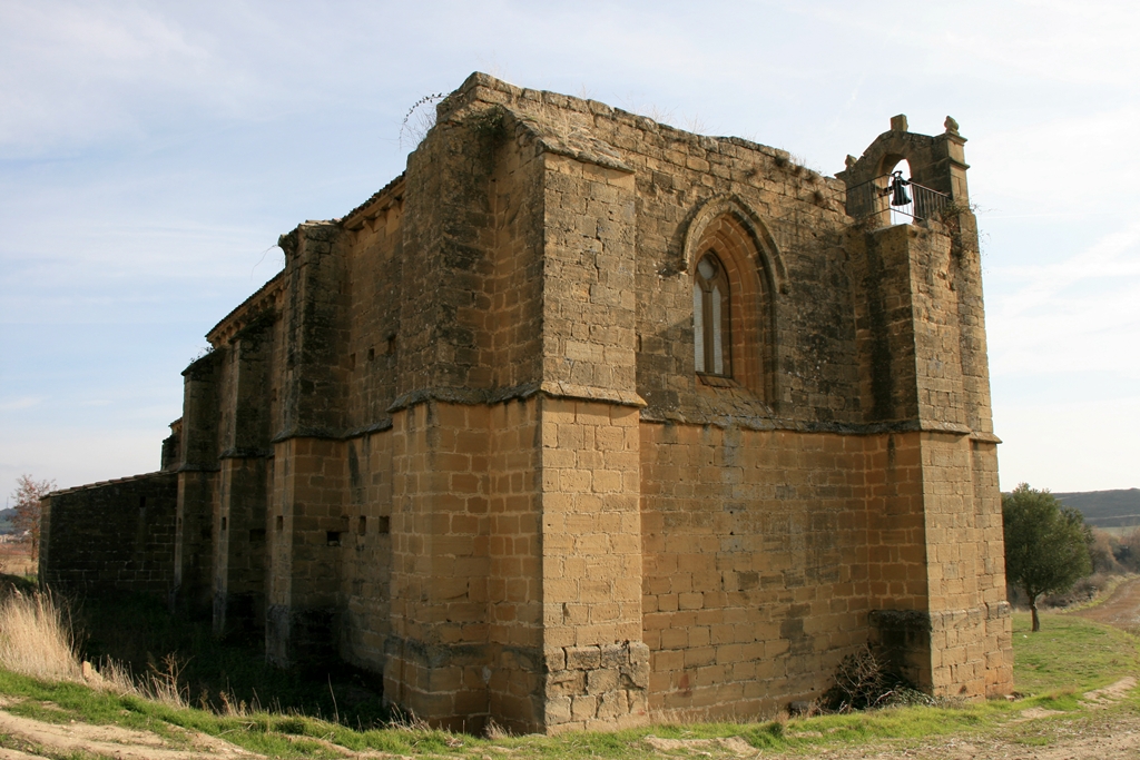 Vista trasera