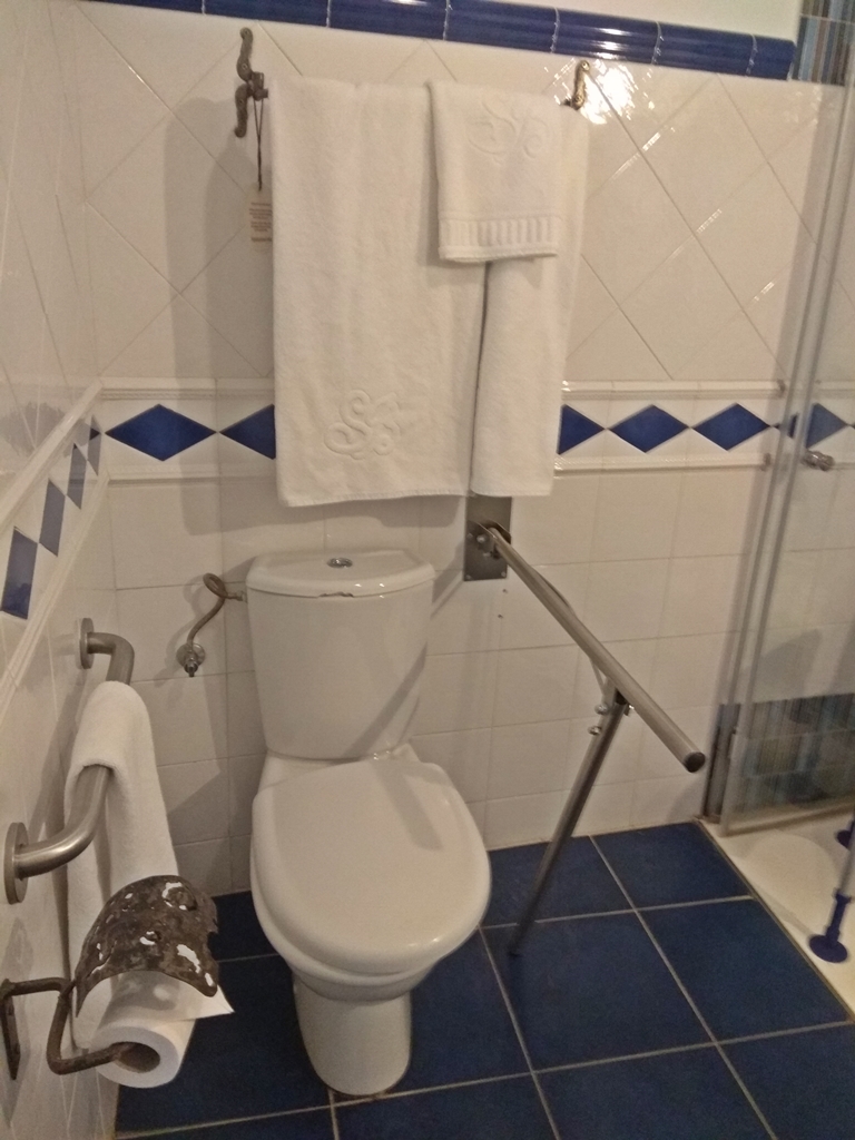 Aseo Adaptado 2