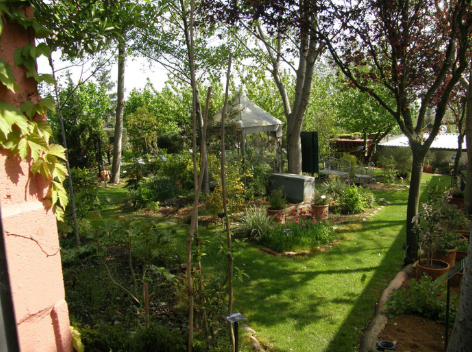 Jardín-La Alamdeda