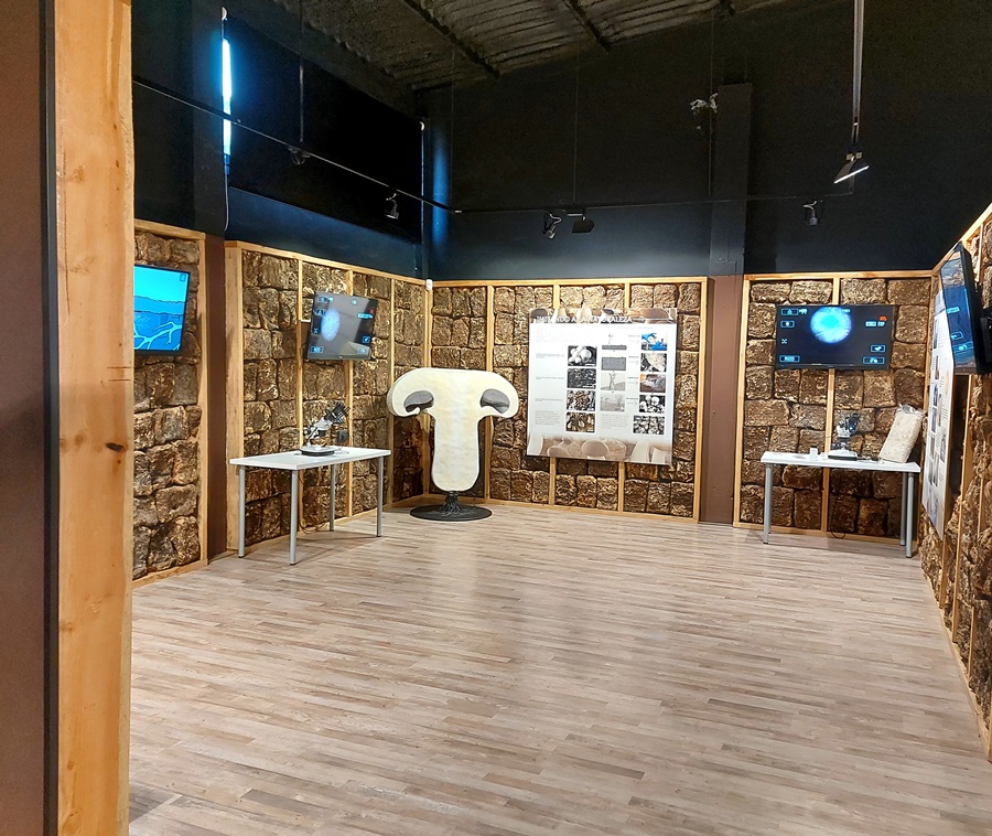 Interior del centro interpretativo 2