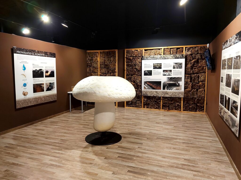 Interior del centro interpretativo 3