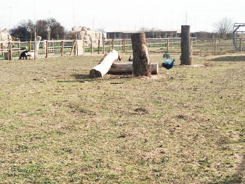 23.Granja escuela