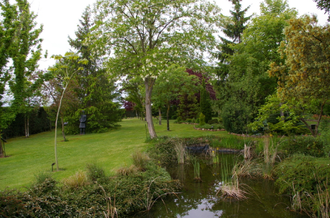 Jardín-La Laguna