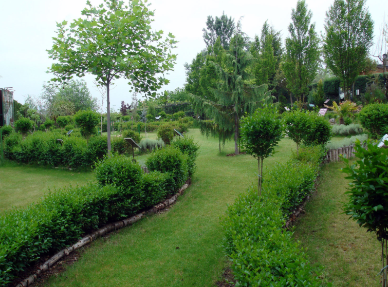 Jardín-Los Manzanos