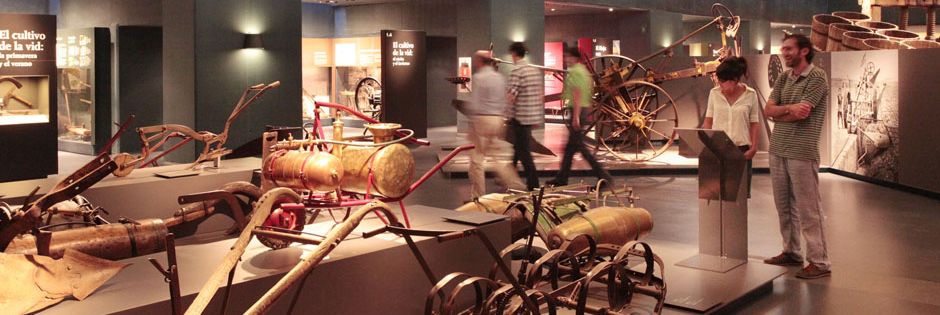 Museo 3