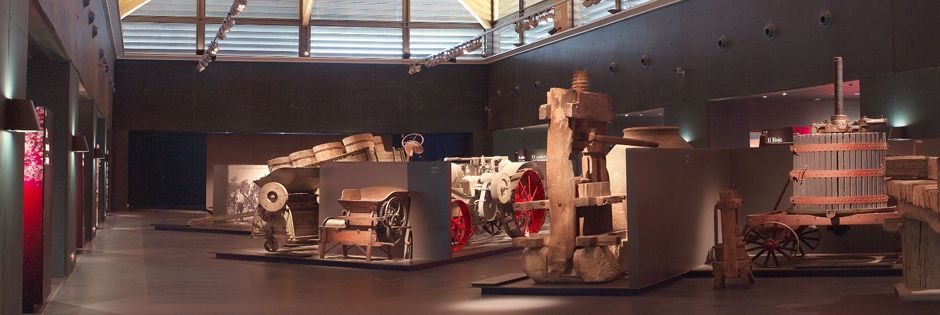 Museo 1