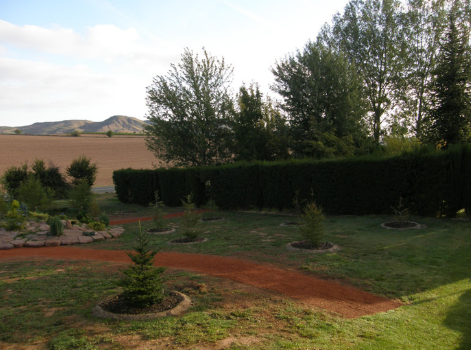 Jardín-Pinetum