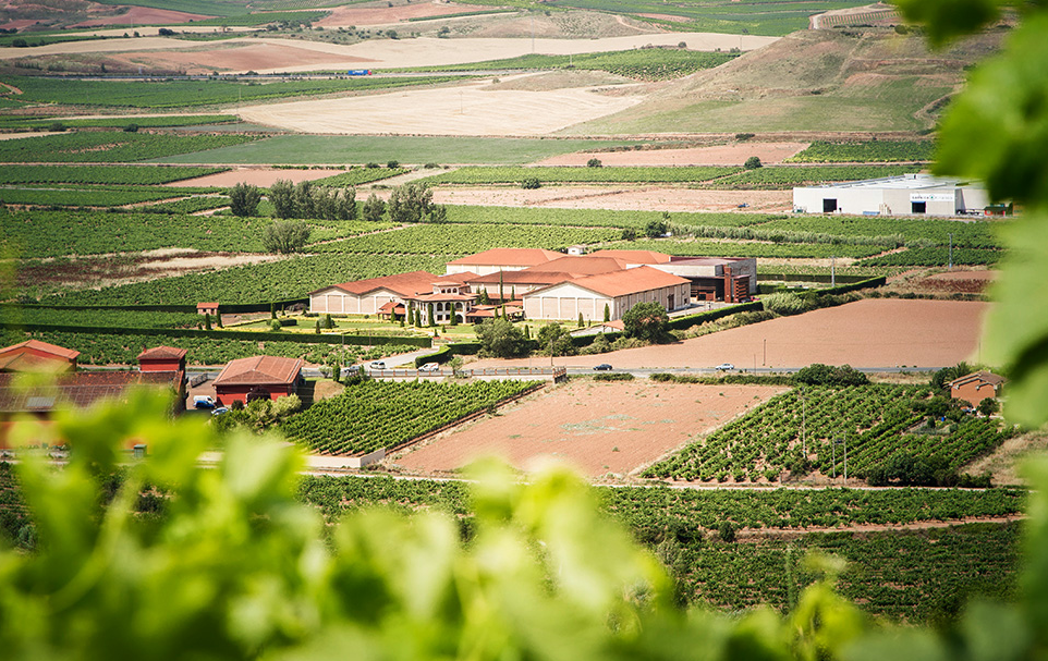 Vista Panorámica
