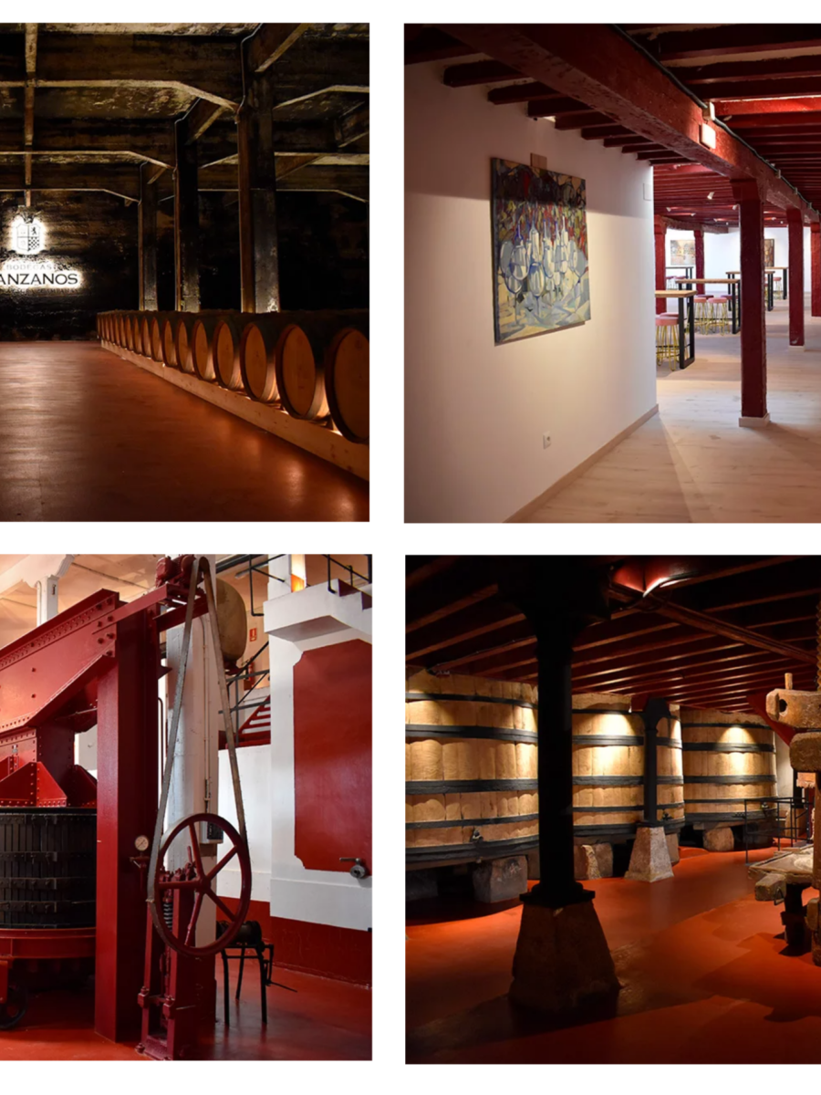 Foto de Bodegas Manzanos