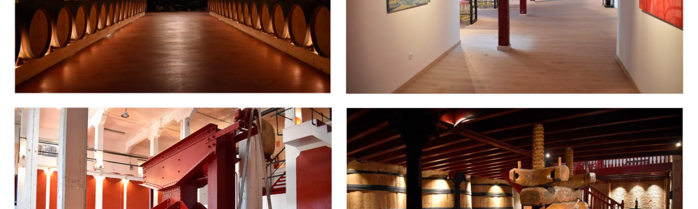 Foto de Bodegas Manzanos