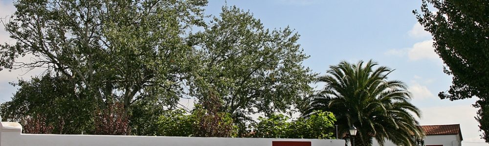 B. Marques de campo Nubile.fachada – Bodegas Marqués de Campo Nuble