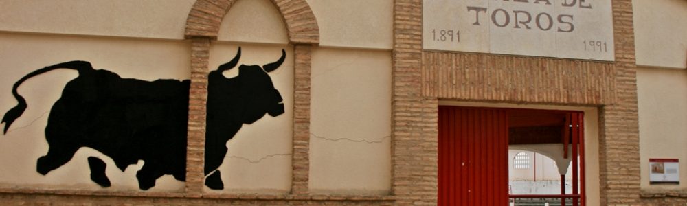 Puerta acceso