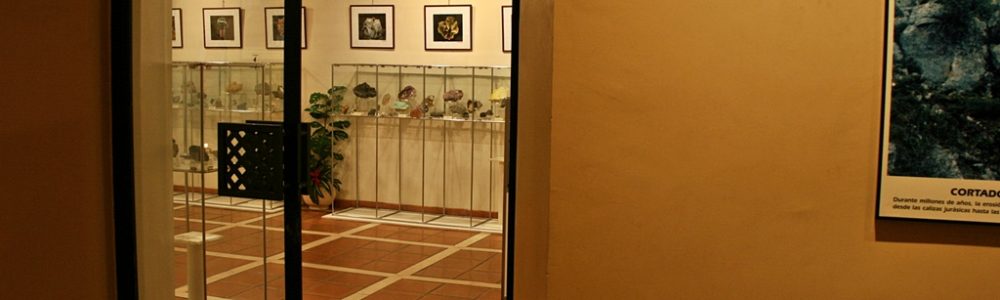 Puerta – Museo de Ciencias Naturales