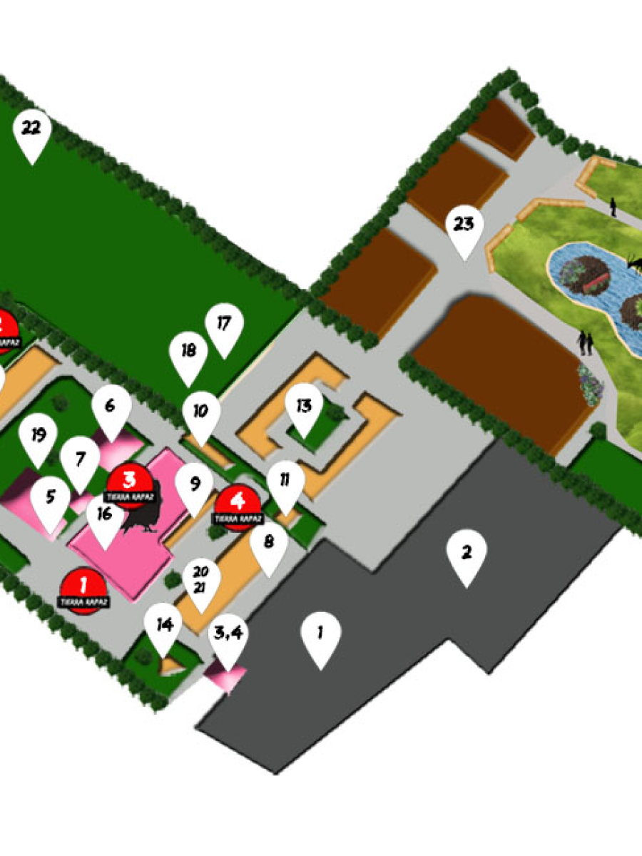 Plano