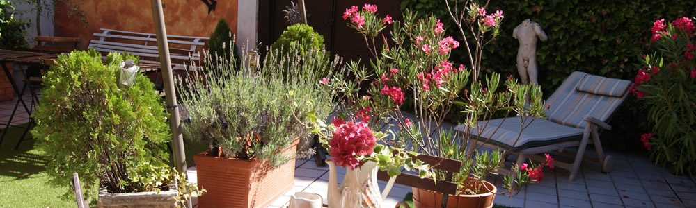 Terraza