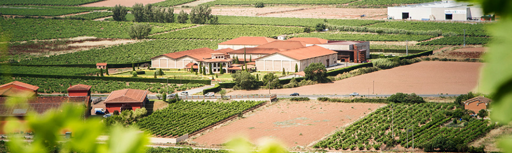Vista Panorámica